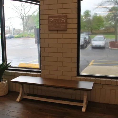 Foxmoor Veterinary Clinic Waiting Area Bench